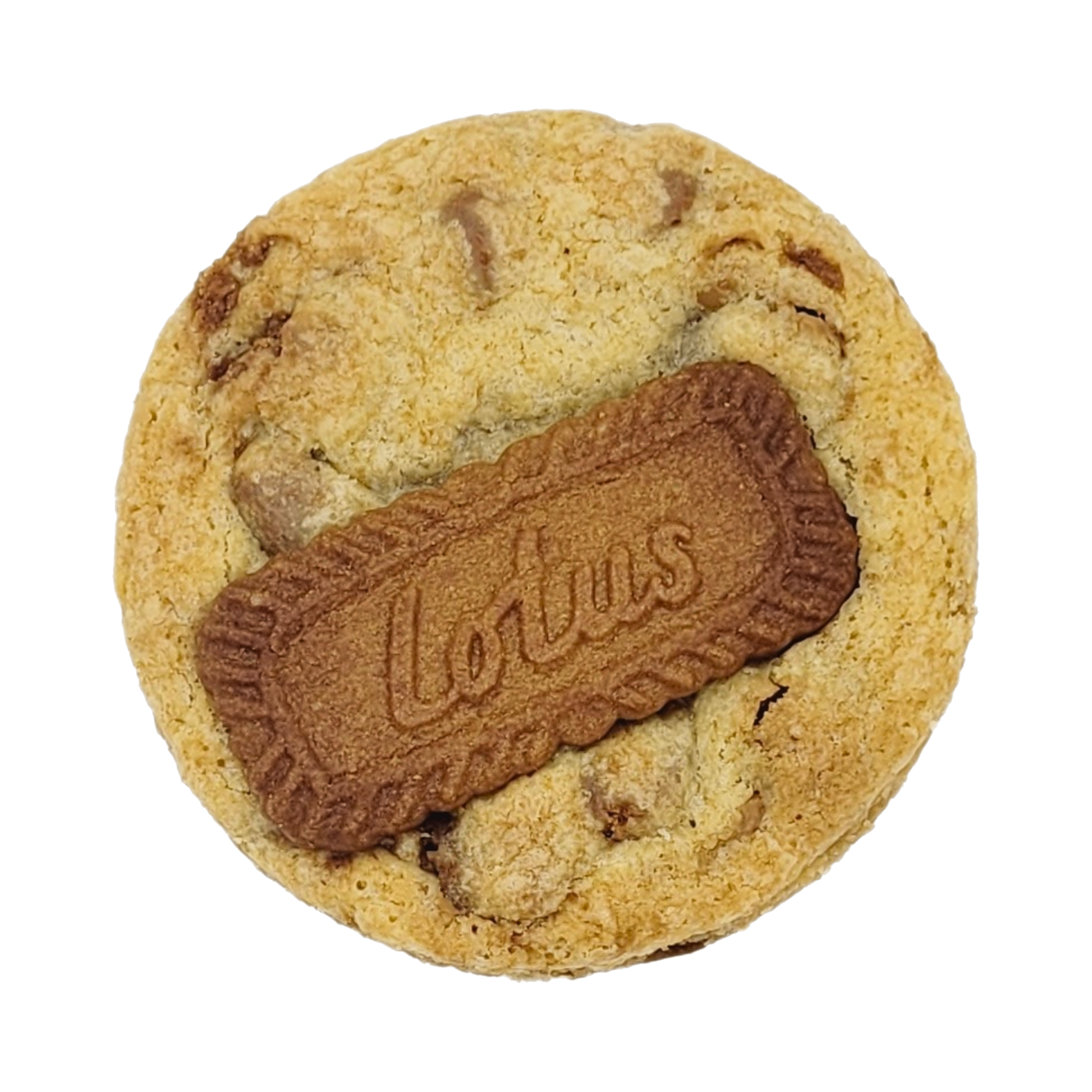 Ambachtelijke Lotus Biscoff Cookies met speculoos-stukjes en romige Lotus-vulling. Ophalen in Dendermonde of levering in België & Nederland!