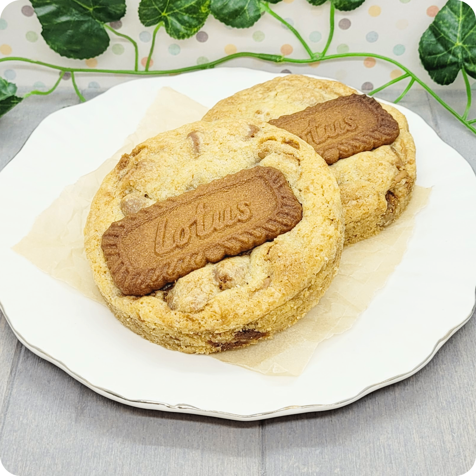 Smeuïge Lotus Biscoff Cookie gevuld met romige speculoos-vulling. Bestel in Dendermonde en laat leveren in België & Nederland!