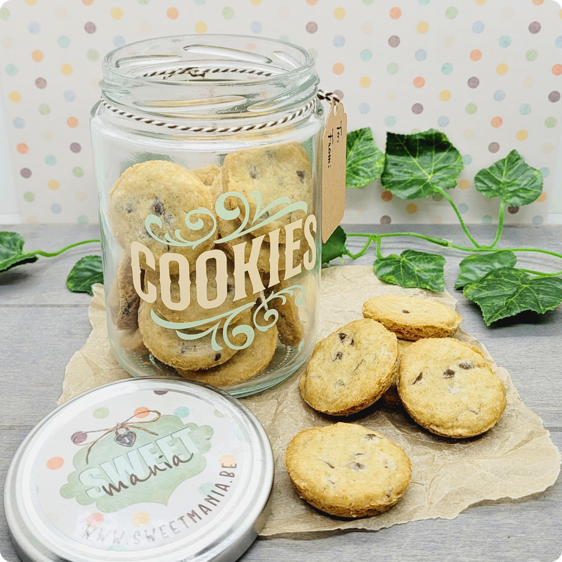 Mini Chocolate Chips Cookies als perfecte snack voor onderweg of om te delen. Bestel jouw jar vandaag nog!